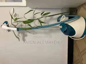 Garment Steamer