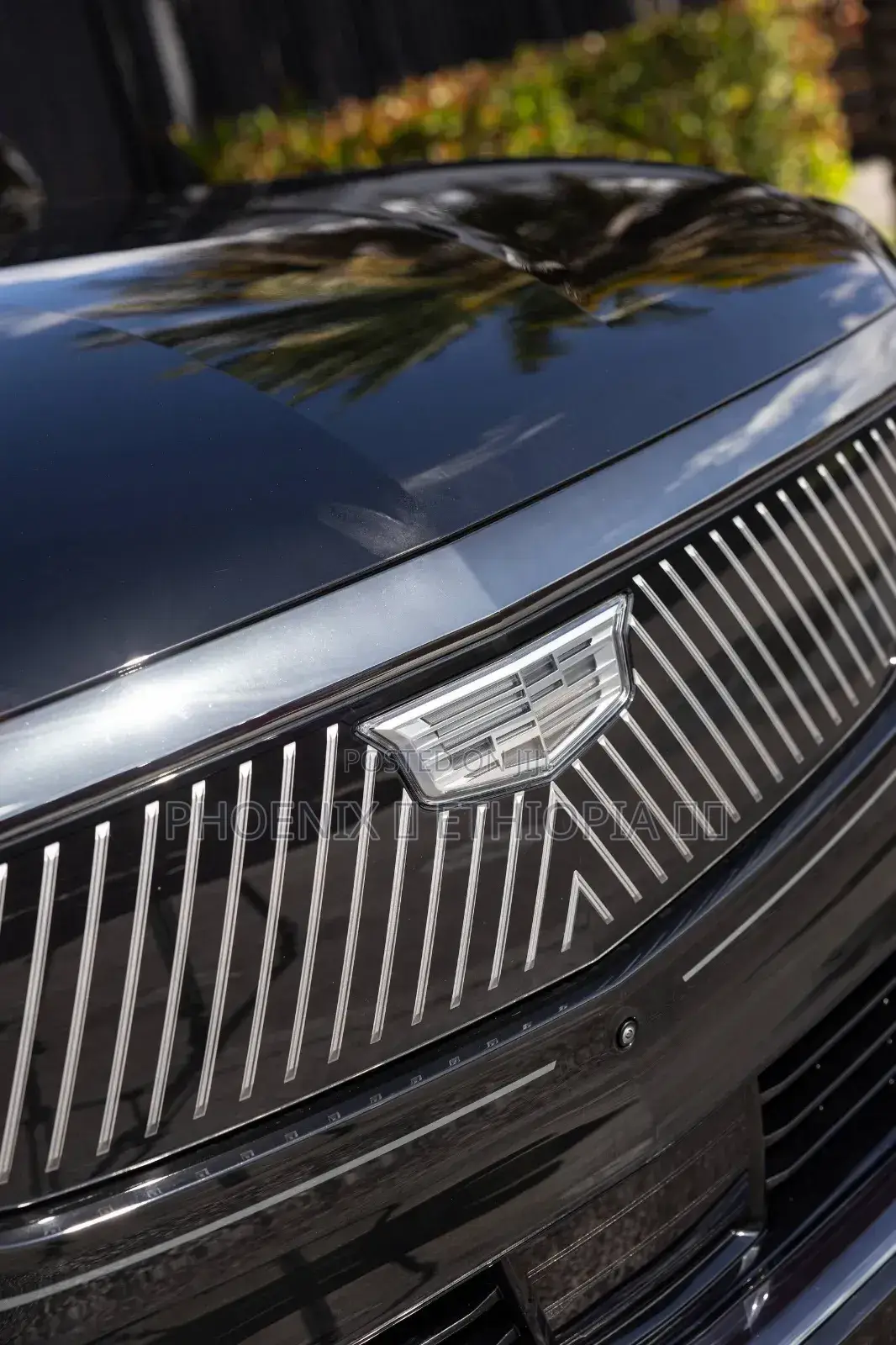 New Cadillac Escalade 2026 Black