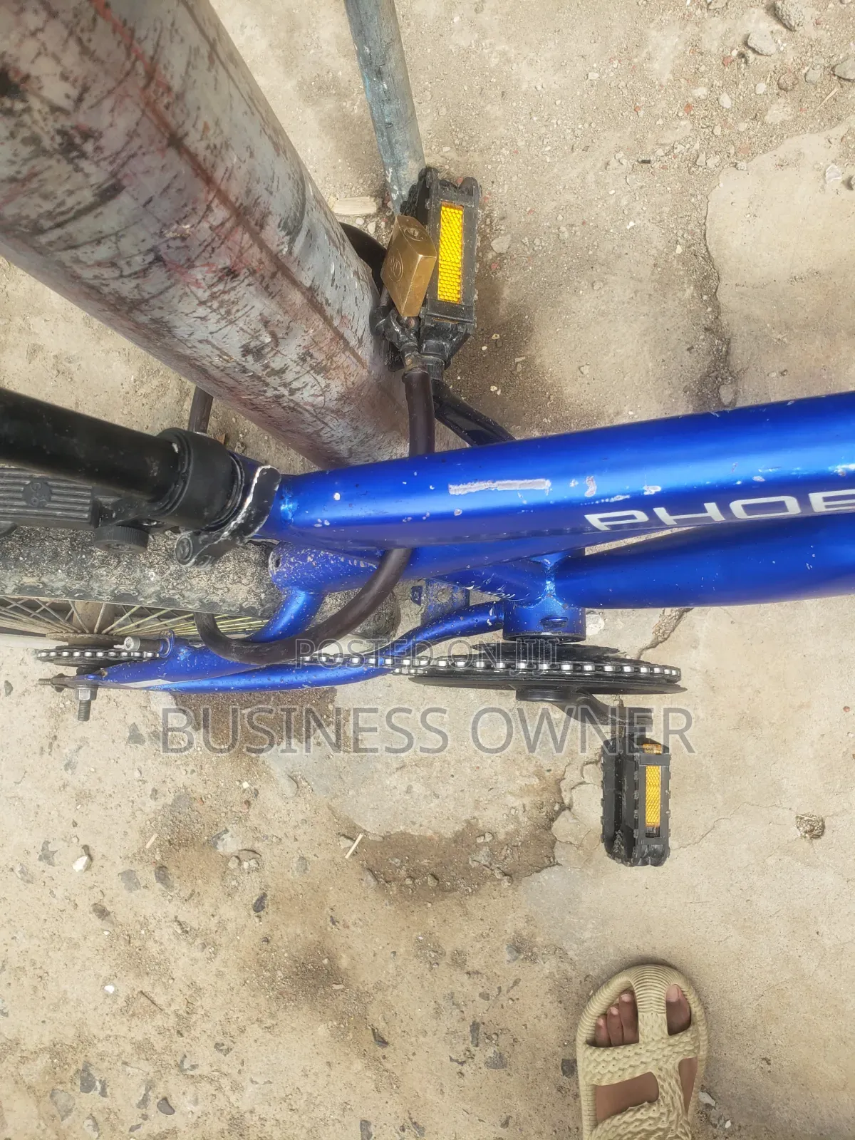Phoenix Fly Bicycle