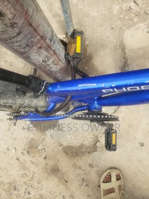 Phoenix Fly Bicycle