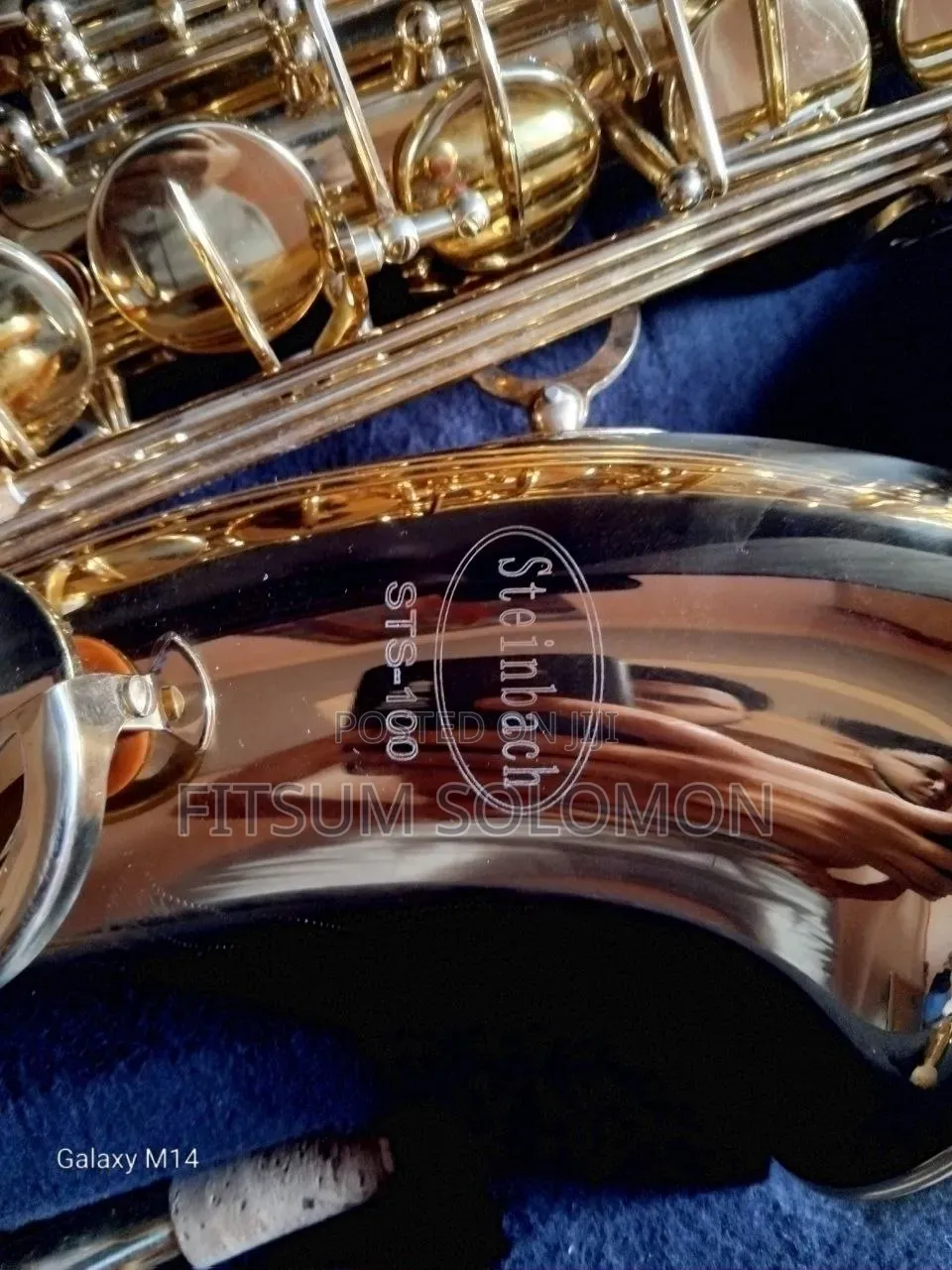 Professional Tenor Saxophone