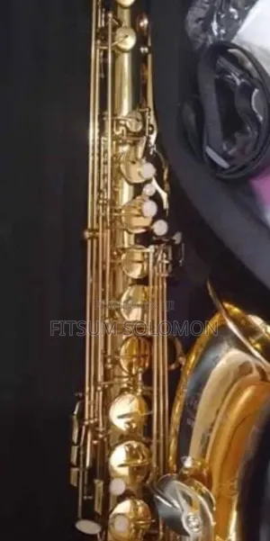 Professional Tenor Saxophone