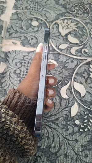Apple iPhone 13 Pro Max 256 GB Silver
