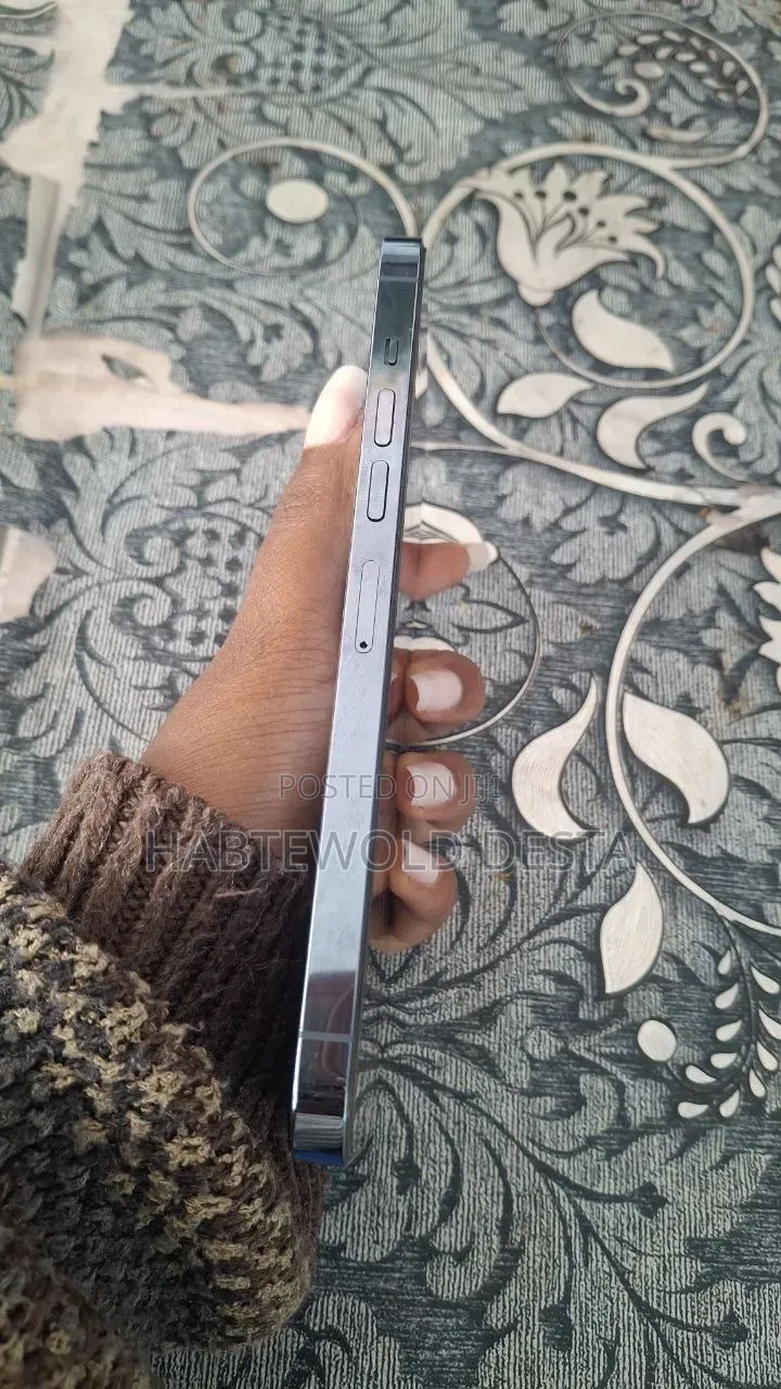 Apple iPhone 13 Pro Max 256 GB Silver