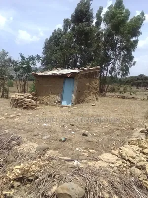 1bdrm Farm House in ኣይተ ኣለምብርሃን ገብረመድህን, Mekelle for sale