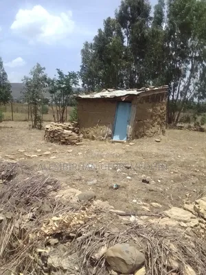 1bdrm Farm House in ኣይተ ኣለምብርሃን ገብረመድህን, Mekelle for sale