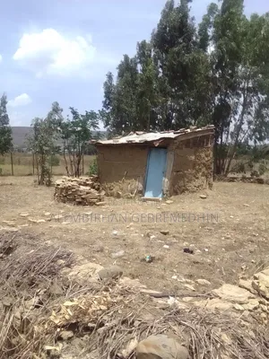 1bdrm Farm House in ኣይተ ኣለምብርሃን ገብረመድህን, Mekelle for sale