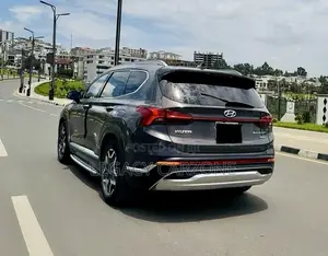Hyundai Santa Fe 2023 Purple