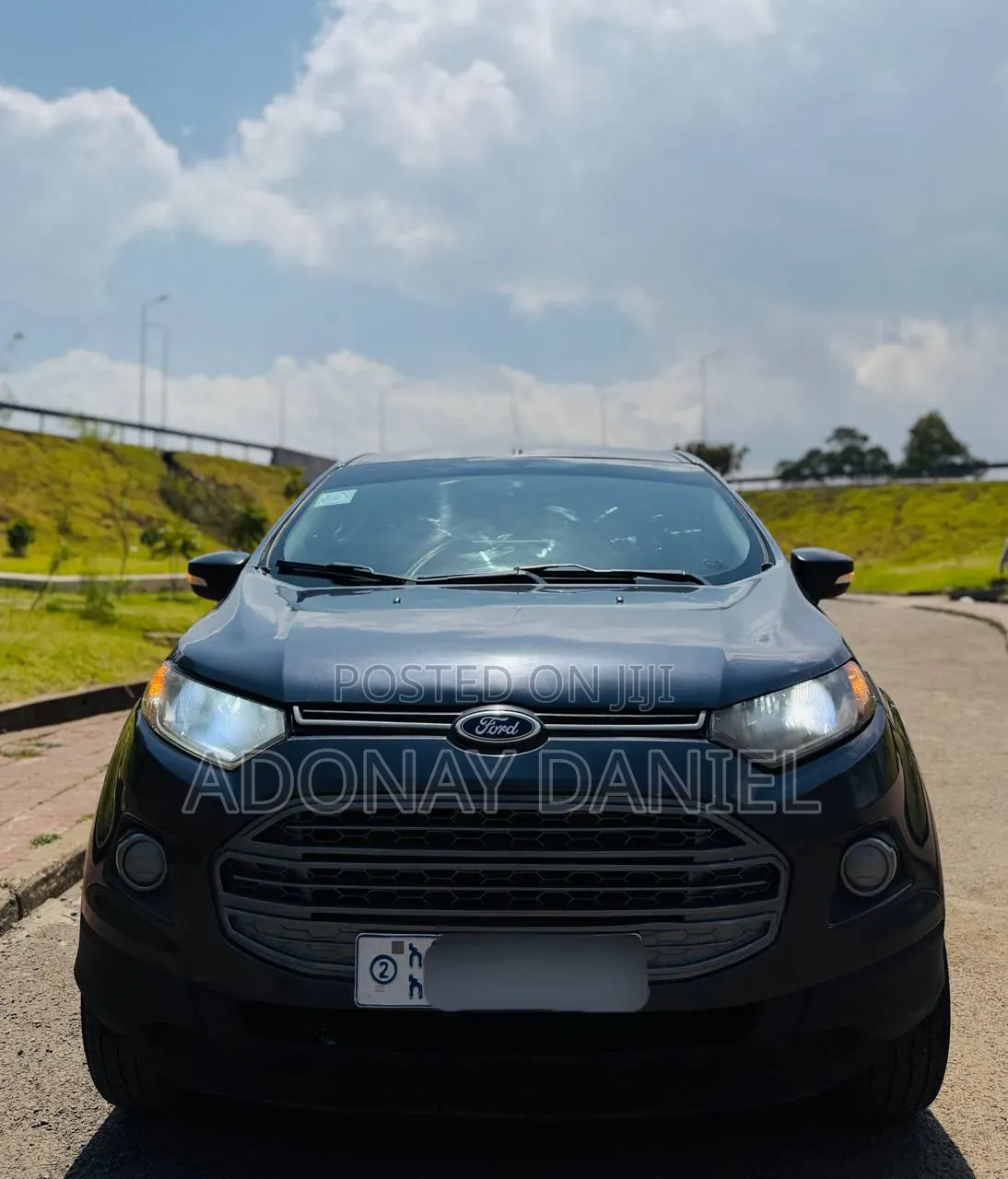 Ford Ecosport 2014 Gray