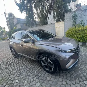 Hyundai Tucson 2021 Brown
