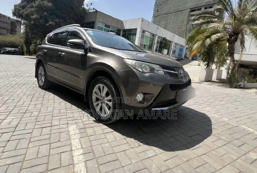 Toyota RAV4 2014 Brown