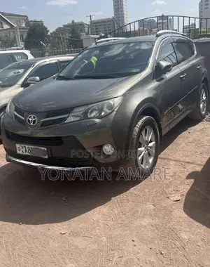 Toyota RAV4 2014 Brown
