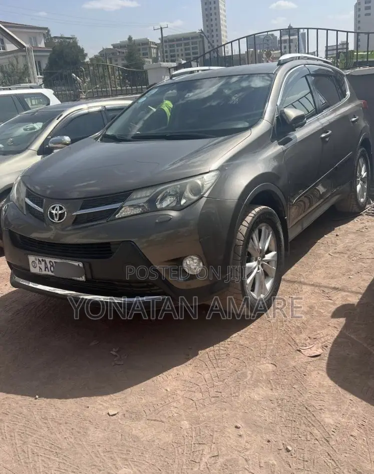Toyota RAV4 2014 Brown