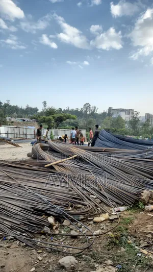 Reinforcing Bar(Rebar Fero)