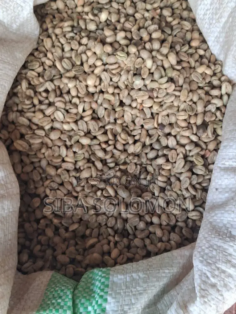 Raw Coffee Bean Unroasted Mizan Tepi