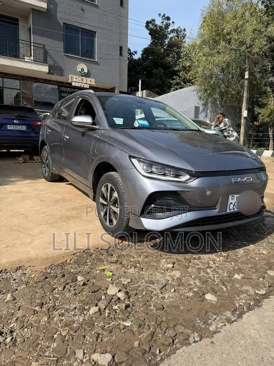BYD E2 43 kWh 94 hp FWD 2025 Gray