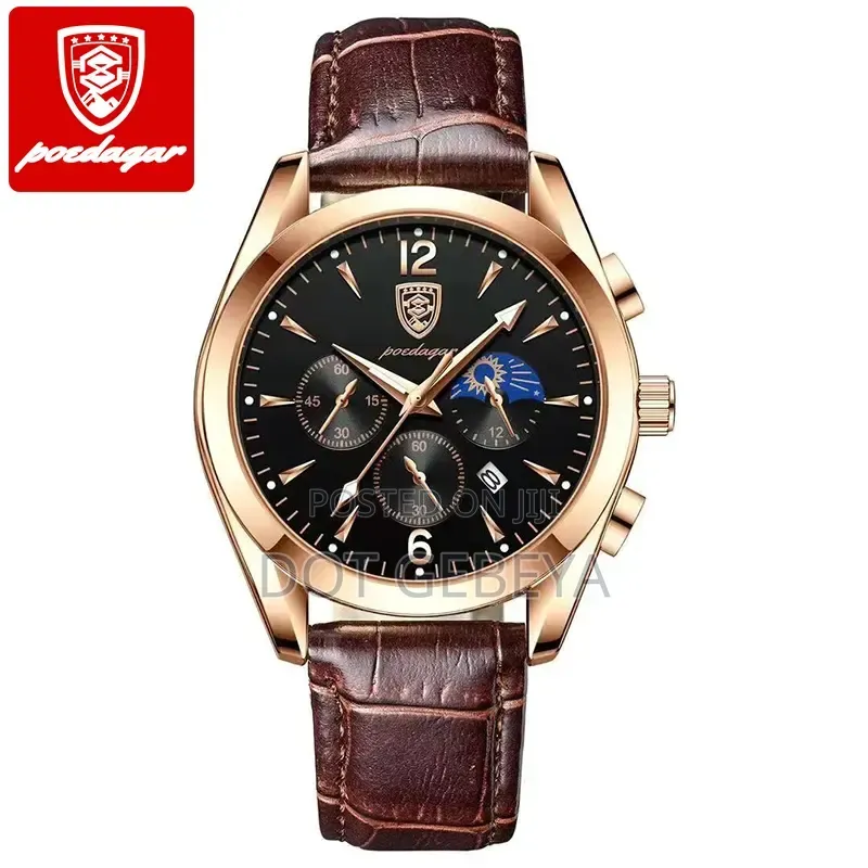 Poedagar Luxury Style Watches