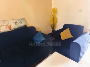 Used Sofa ( ያገለገለ ሶፋ)