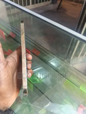 Apple iPhone 12 Pro Max 256 GB Gold