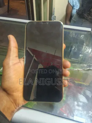 Apple iPhone 12 Pro Max 256 GB Gold