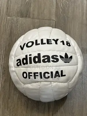 Volleyball Ball