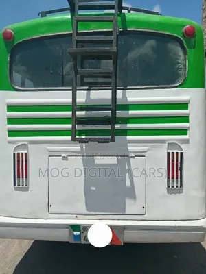 Isuzu NQR 2002 White
