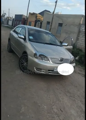 Toyota Corolla 2003 Gold