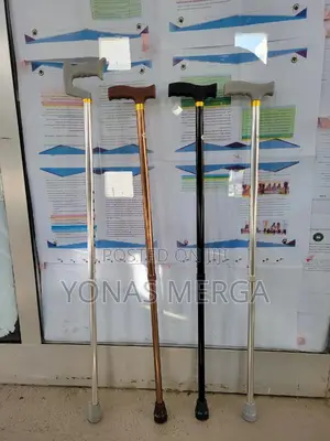 Everyday Walking Sticks Can Give You Confidence