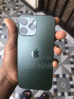 Apple iPhone 13 Pro Max 256 GB Gray