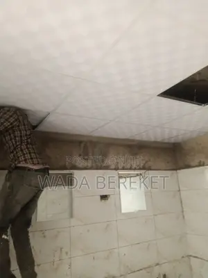 PVC Celling