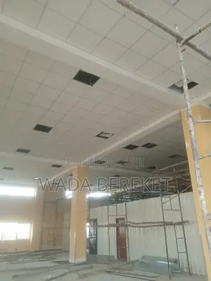 PVC Celling