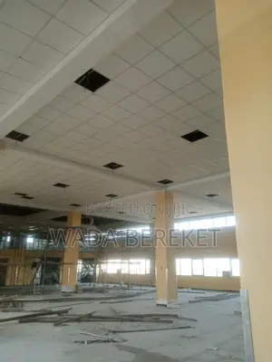 PVC Celling