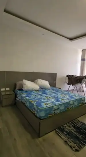 Furnished 3bdrm Apartment in ቦሌ መድሃንያለም, Bole for sale