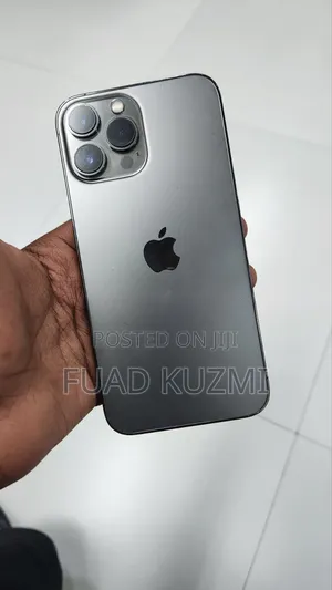 Apple iPhone 13 Pro Max 256 GB Gray