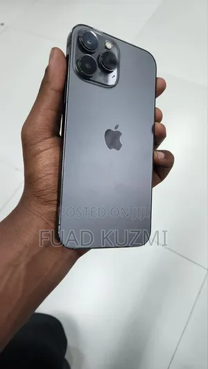 Apple iPhone 13 Pro Max 256 GB Gray