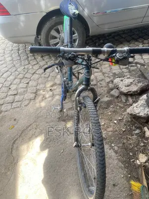 Nishiki Bike