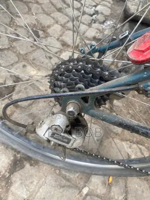 Nishiki Bike