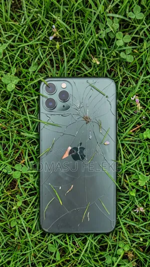 Apple iPhone 11 Pro Max 64 GB Gray