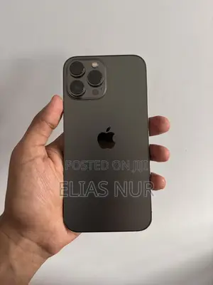 Apple iPhone 13 Pro Max 256 GB Gray