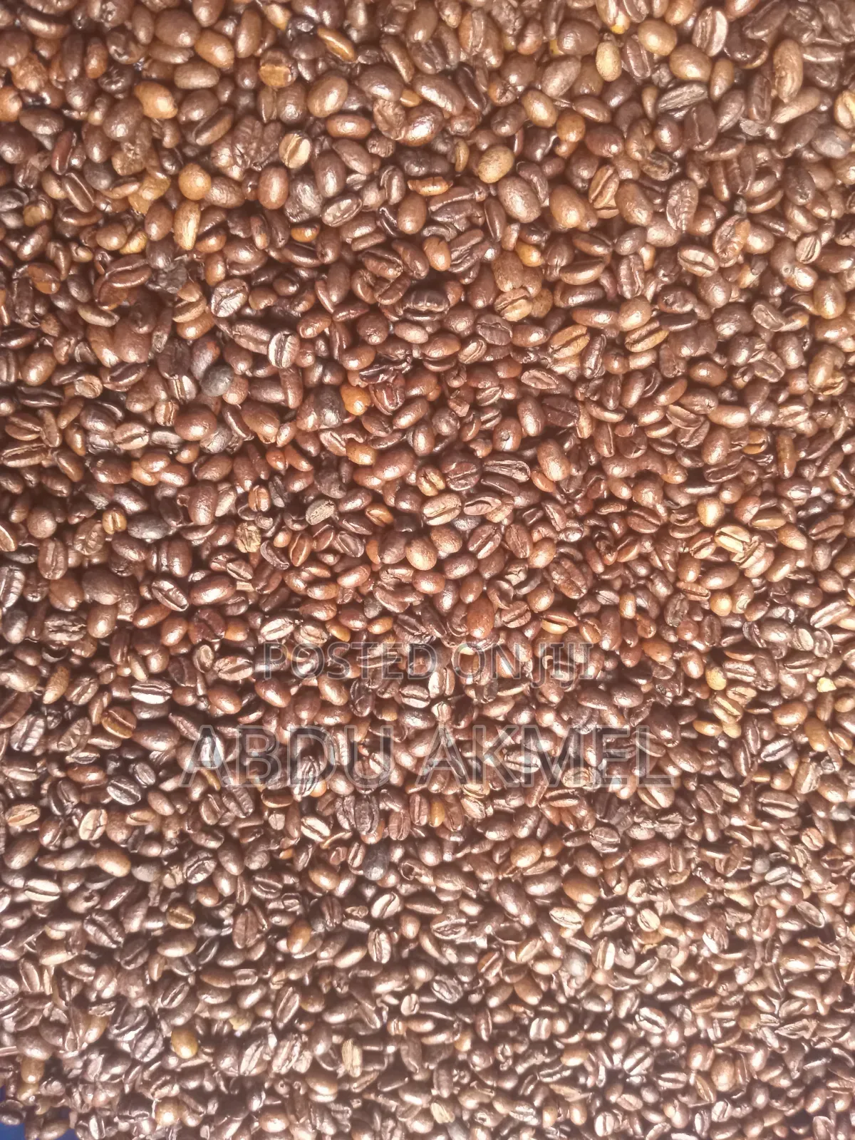 Rosted Coffee