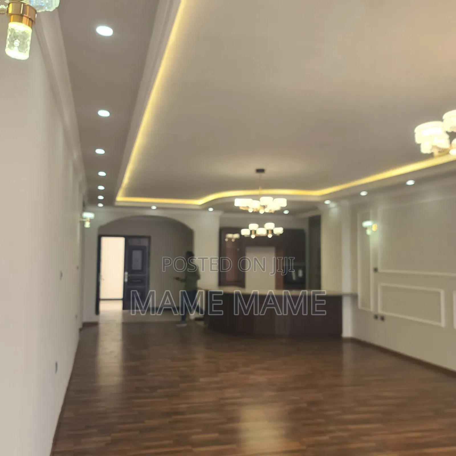 4bdrm Apartment in Addis Abeba, Bole for rent