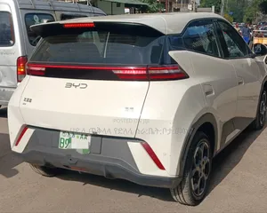 BYD Seagull 2025 Pink