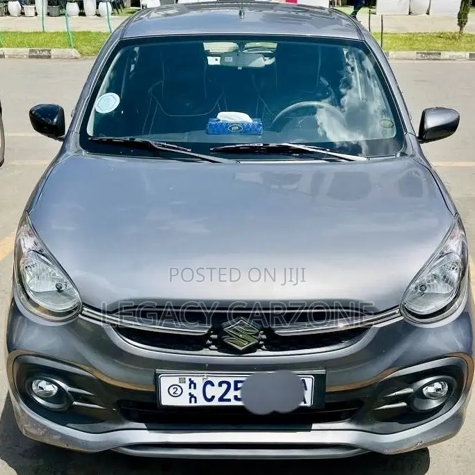 Suzuki Celerio 2022 Silver
