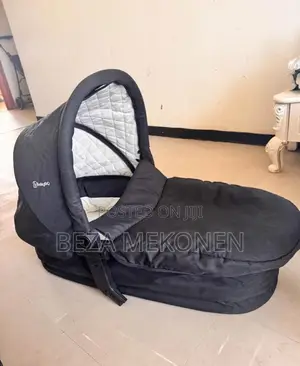 2in One Stroller
