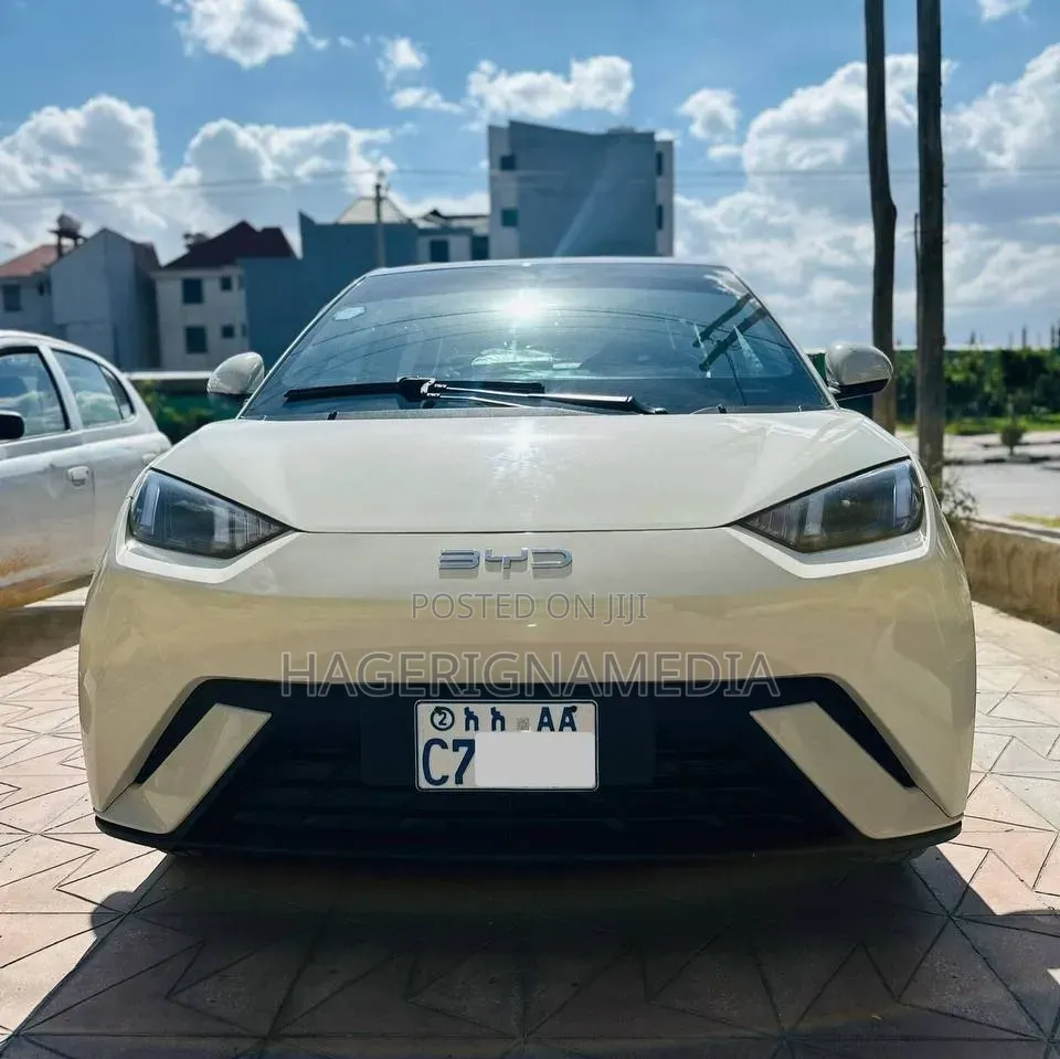 BYD Seagull 2025 White