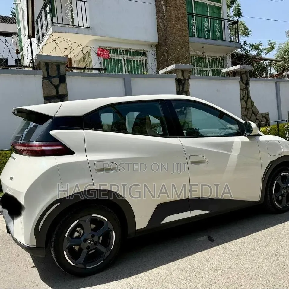 BYD Seagull 2024 White