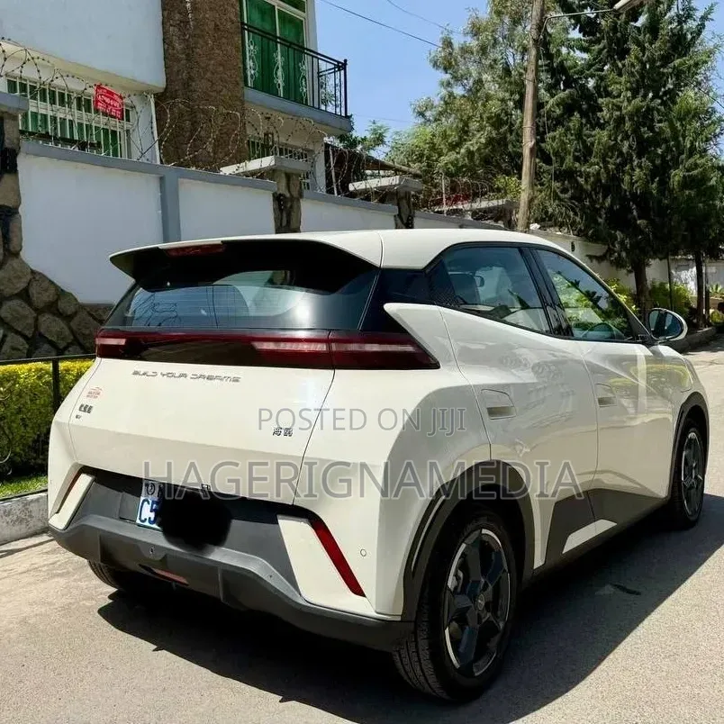 BYD Seagull 2024 White