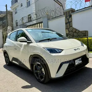 BYD Seagull 2024 White