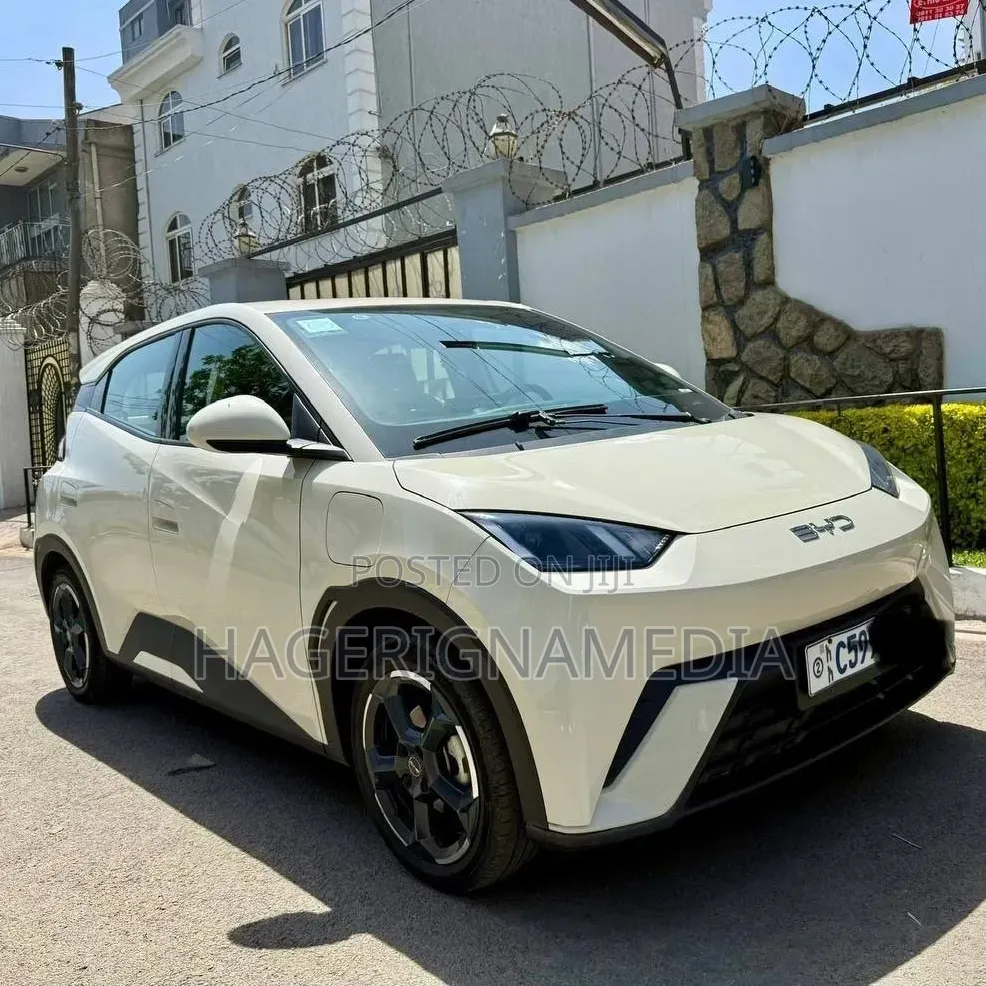 BYD Seagull 2024 White