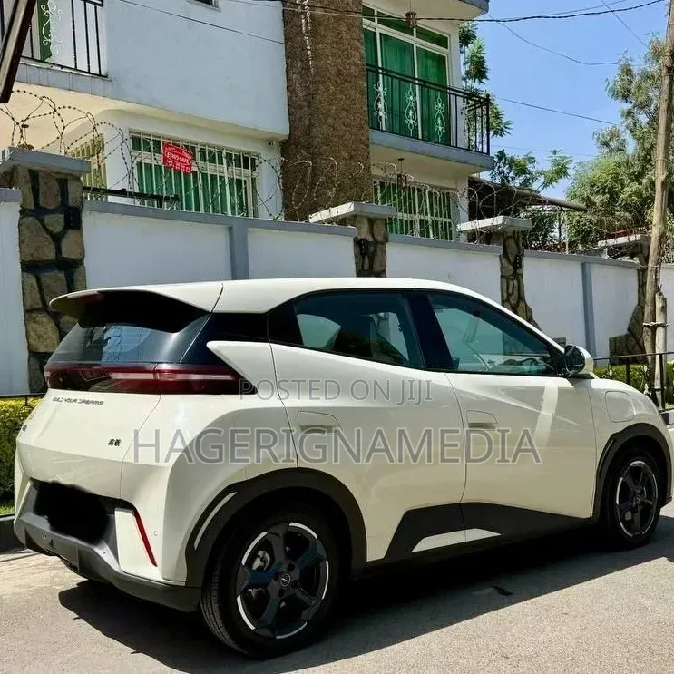 BYD Seagull 2024 White